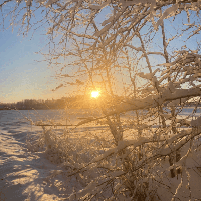 sun in winter